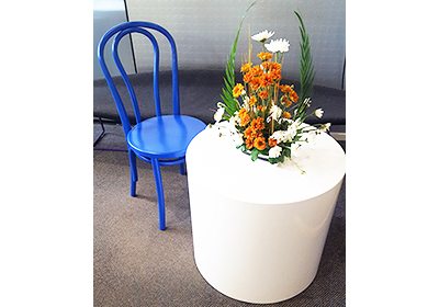 Custom Commercial Furniture Auckland | Bentwood Painted Chair
